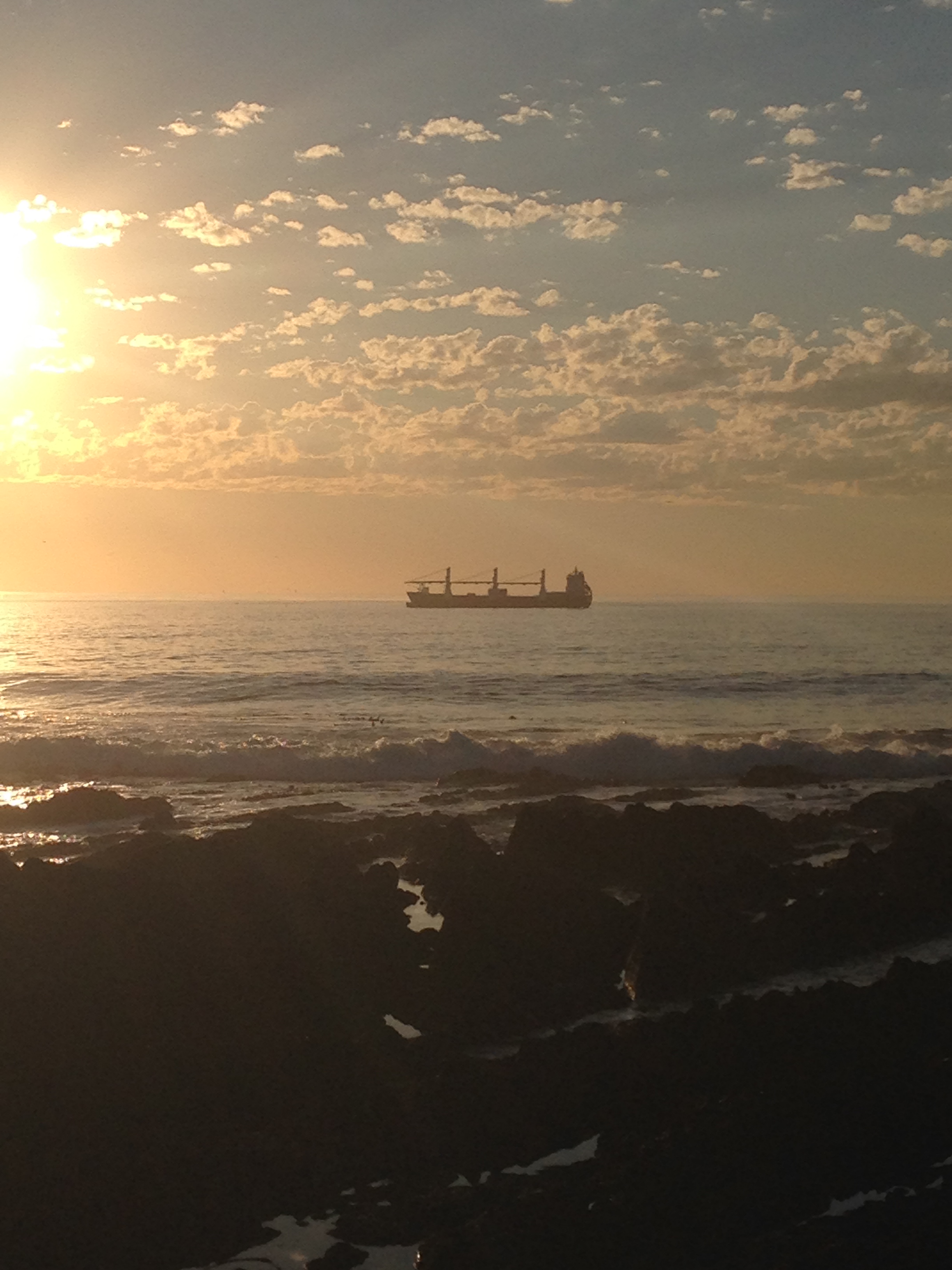 beautiful brutal cape town