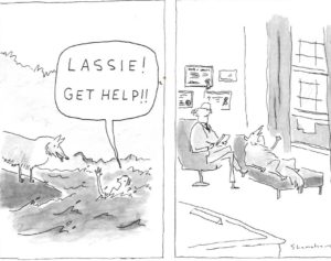 From http://rorygilbert.com/selecting-a-therapist/